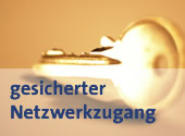 SaaS macht Sinn